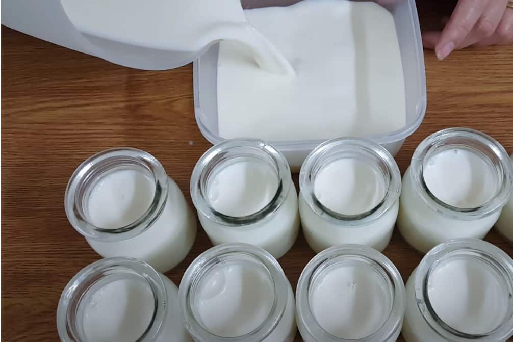 Cách Làm Sữa Chua Dẻo Chuẩn Nhất - Thật Là Ngon